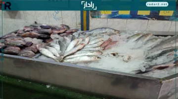 أسعار السمك في مصر 26 أكتوبر 2025 وأنواعها المختلفة للمستهلك